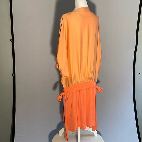 Diane Von Furstenberg Peach/Apricot Silk Drop Waist Batwing Puffed Sleeves Dress - Picture 16 of 16